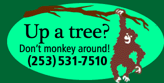 Up a tree? Don't monkey around! Call 2535317510
